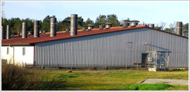 Der Hof
