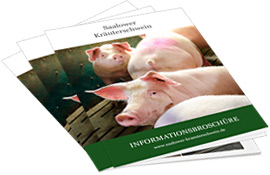 Informationsbroschre als PDF