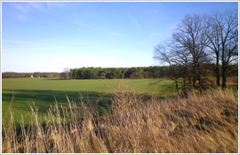 Landschaft