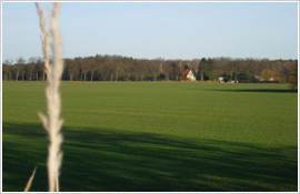 Landschaft