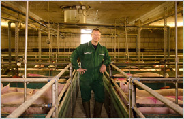 Das Saalower Kruterschwein